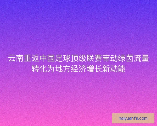 云南重返中国足球顶级联赛带动绿茵流量转化为地方经济增长新动能